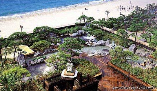 Rio Roiss Hotel Rio de Janeiro Bagian luar foto